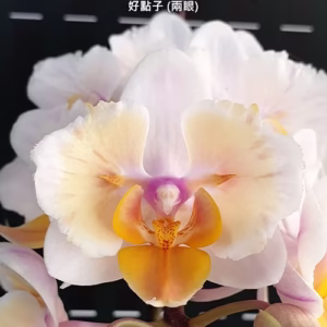 174419283213-