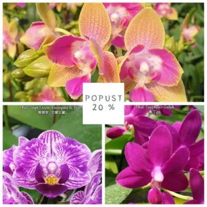 Trojni set <br>sa popustom od 20%